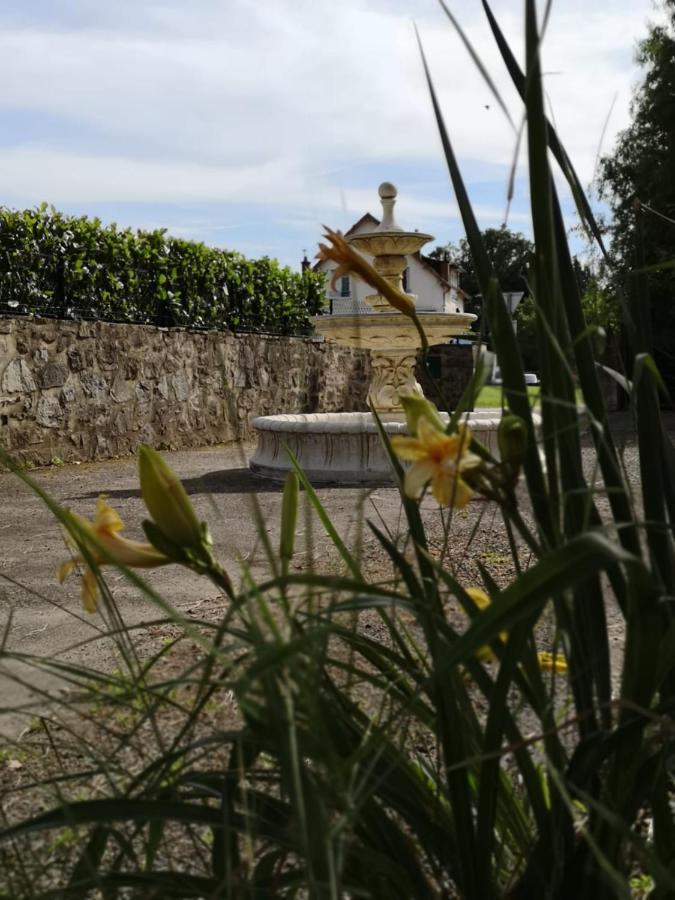 Saint-Germain-les-Vergnes La Morgiane B&B 외부 사진